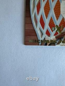1996 Skybox Basketball E-X2000 Net Assets Michael Jordan #8