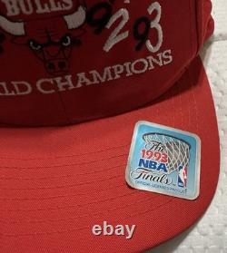 Chicago Bulls 1993 Vintage Red Cap Easy As 1991 1992 1993 Logo World Champions