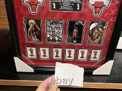 Chicago Bulls Basketball Championship Shadowbox