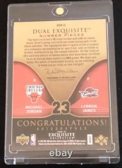Dual Excursit 23/23 Replica LeBron James / Michael Jordan