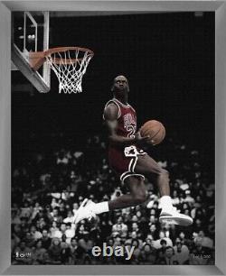 Highland Mint Chicago Bulls Michael Jordan 16x20 Canvas Photo