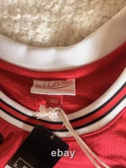 Jordan Mitchell & Ness Bulls 1997-98 NBA Finals Red Authentic Jersey 48(XL)