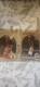 LOT of 2 Rare&Sought After Michael Jordan NBAHOOPS CARDS #5 A CRAZY AMAZIN
