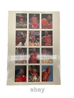 Lot of 10 Sealed RARE MICHAEL JORDAN 1991 POSTER BOOK 17x12, 12 11x16 TEAR OU