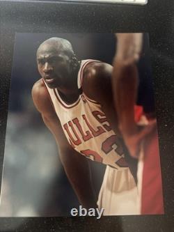 Michael Jordan Collectors Plaque Vintage Sports Cards & Name Plate 15x12