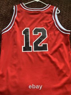 Michael Jordan Jersey Chicago Bulls Size Xl Tailored Custom #12