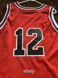Michael Jordan Jersey Chicago Bulls Size Xl Tailored Custom #12