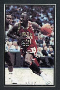Michael Jordan Rare Chicgao Bulls Hand Cut
