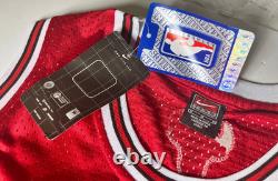 NEW Michael Jordan #23 Chicago Bulls 2009 Nike Swingman Throwback Jersey NBA MED