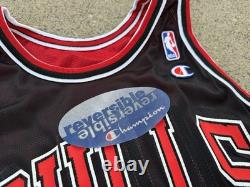 NWT Chicago Bulls Michael Jordan Size 40 Reversible Champion Jersey Medium M