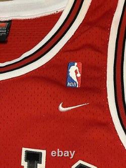 NWT Michael Jordan Nike Swingman Jersey size XXL