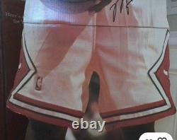 Rare 1996 Michael Jordan Upper Deck Life Size Cardboard Stand Up