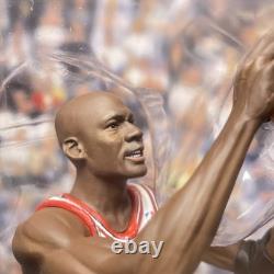 Upper Deck Pro Shots Michael Jordan 1991 NBA FINALS Champion 2009 Action Figure