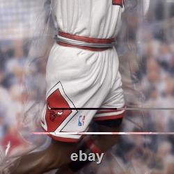 Upper Deck Pro Shots Michael Jordan 1991 NBA FINALS Champion 2009 Action Figure