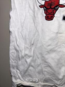 Vintage NBA Chicago Bulls 1995 Michael Jordan I'm Back Size Large Single Stitch