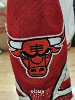 Vintage NBA Chicago Bulls Jordan Short Size 30 Excellent Condition